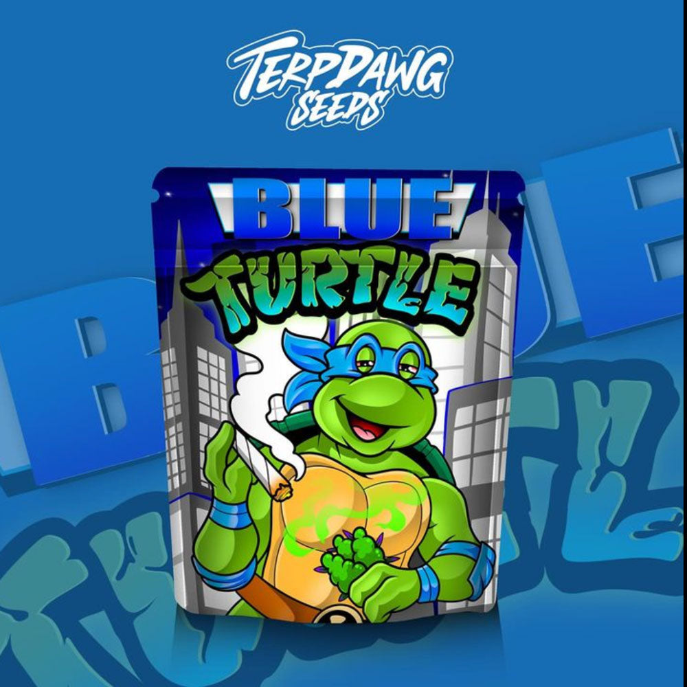 Blue Turtle