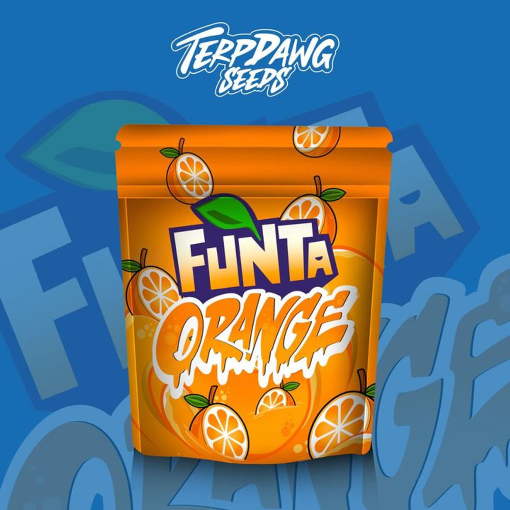 Funta Orange