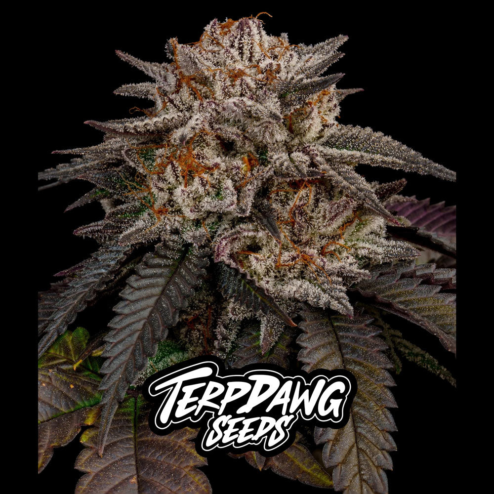 Oreoz Kush Cake