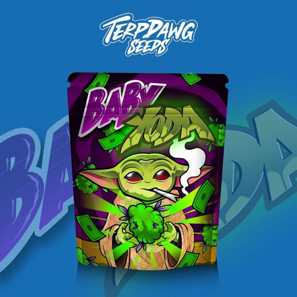 TerpDawgSeeds