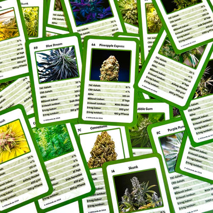 420CARDS! Das Cannabis-Quartett