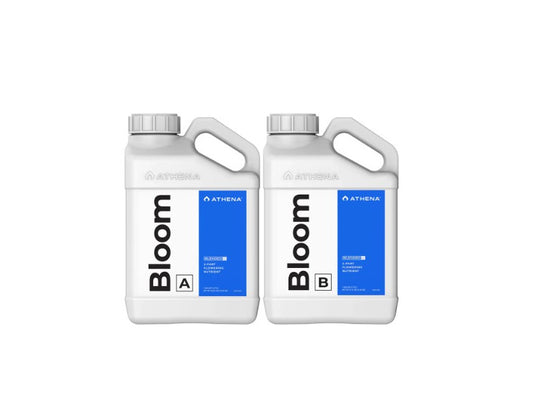 ATHENA Bloom A+B - 0,94L