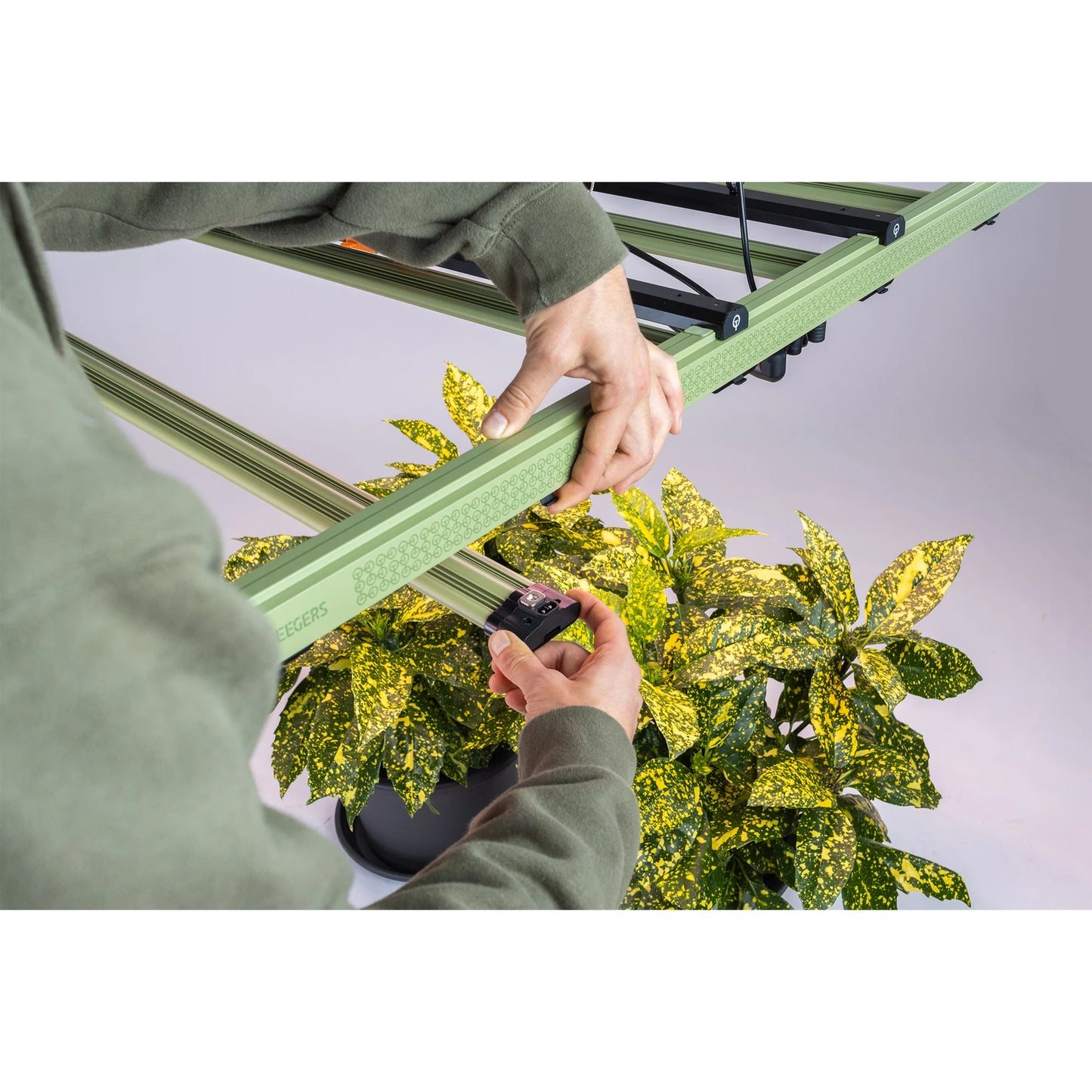 Treegers GL650W LED Pflanzenlampe