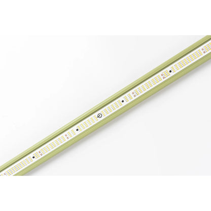 Treegers GL650W LED Pflanzenlampe