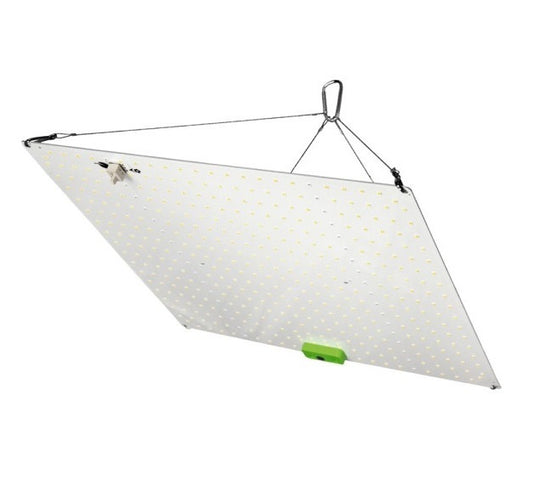 HortiLight 150Watt