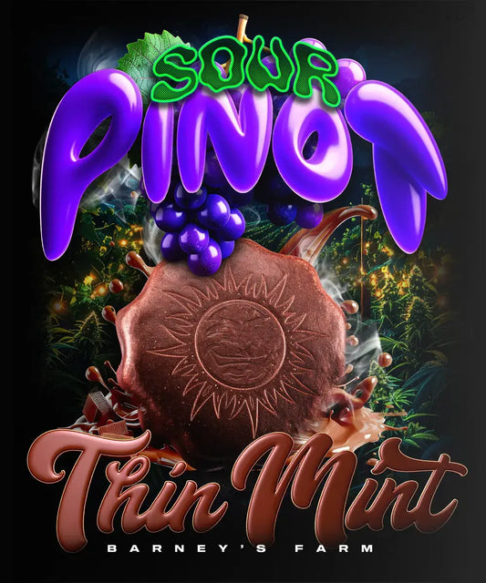 3x Thin Mint X Sour Pinot Auto