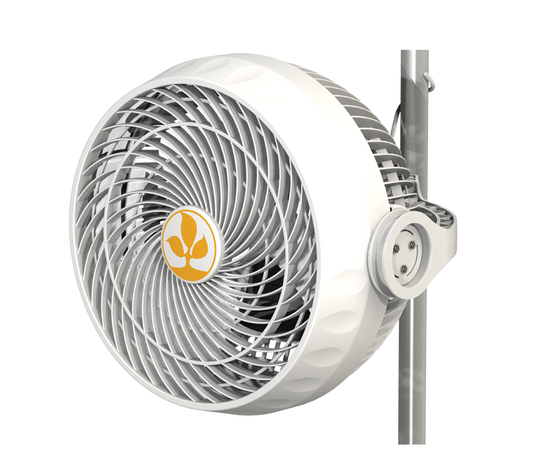 Secret Jardin MF30 Monkey Fan, Ball Bearing, 30Watt