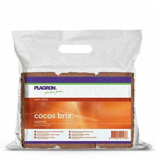 Plagron Cocos Brix